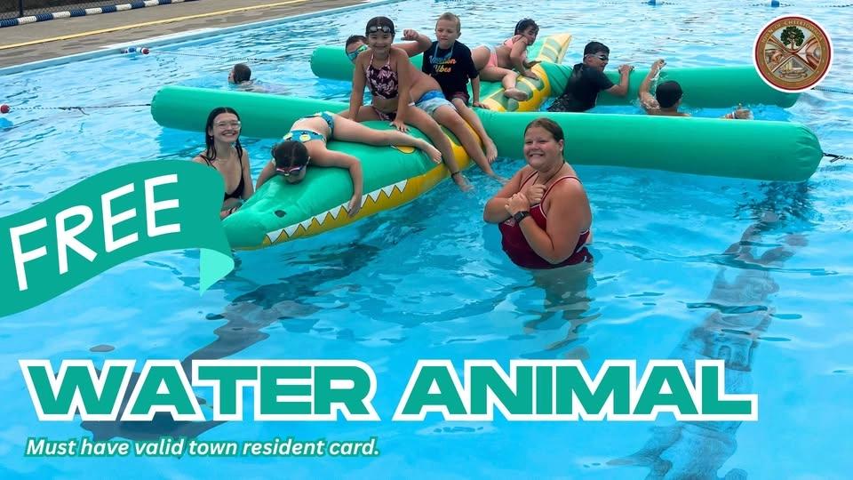 Water Animal @ Dingens Pool