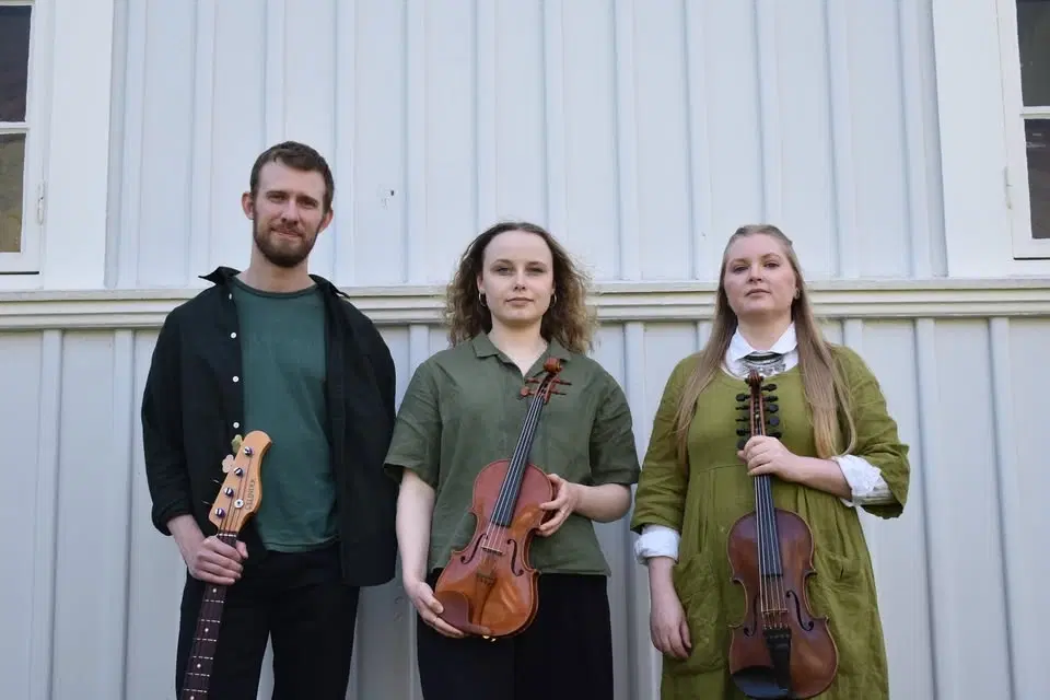 Wood/Risinger/Moberg | Folkmusikkaféet