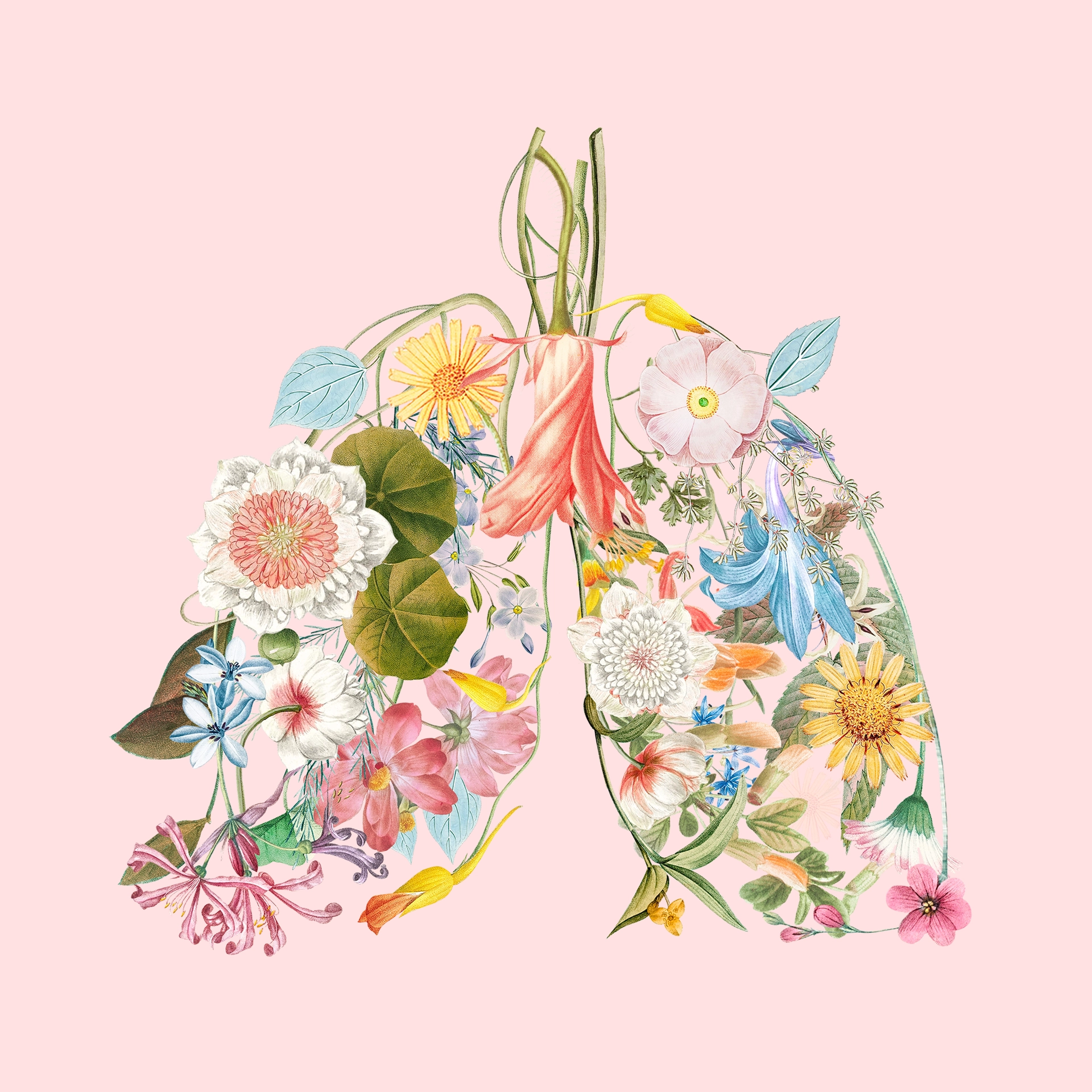 Climate Change & Health Equity Mini Advocacy Lab