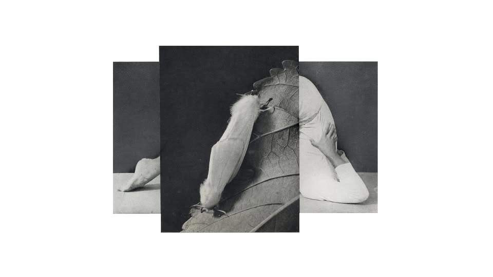 Poesiworkshop på Haninge Konsthall