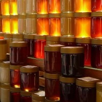 Saint Pontius Fair in Barcelona