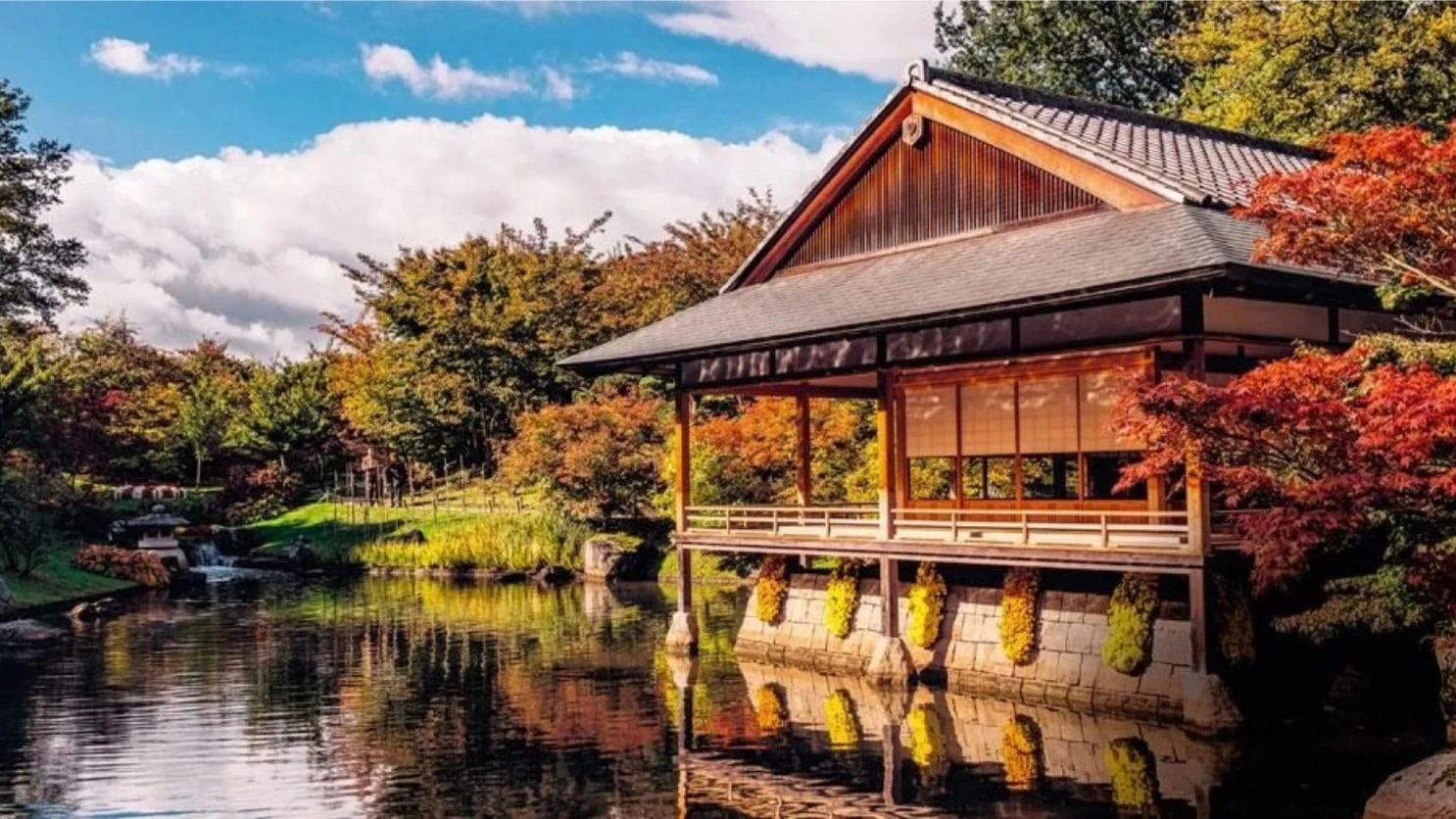 Garden Visit #2: Hasselt Japanese garden