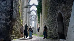 Stadsvandring: Ringmur, rosor och ruiner