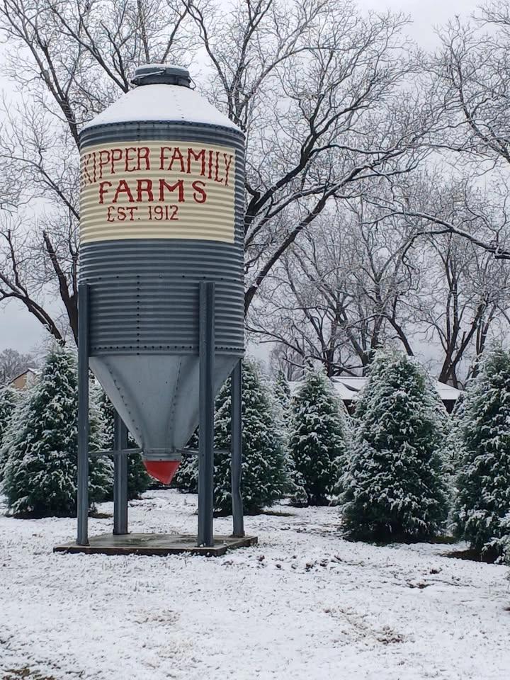 OPENING DAY OF CHRISTMAS TREES