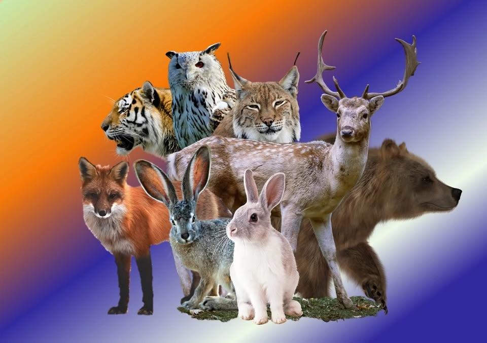 Therians och furries-träff
