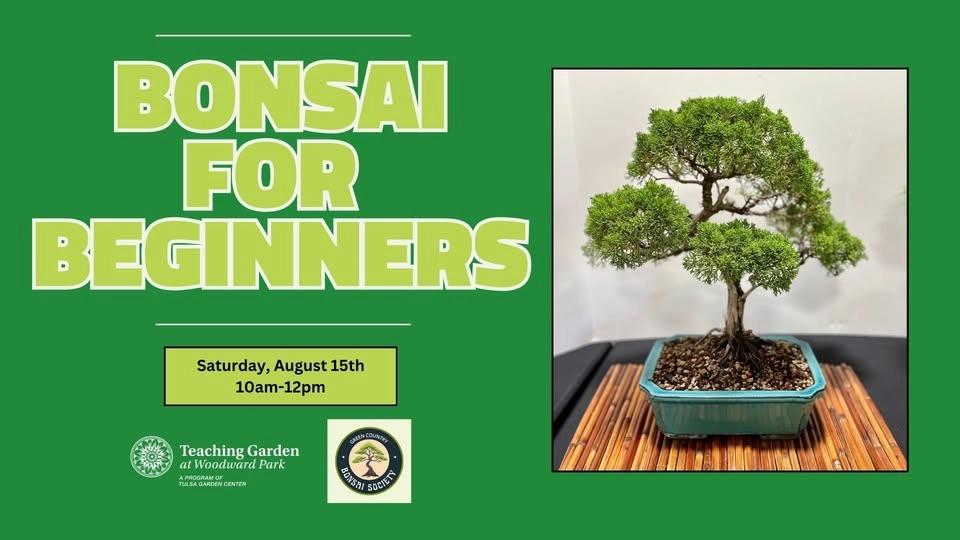 Bonsai for Beginners