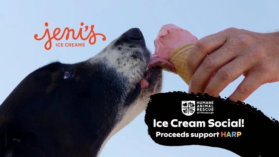 Ice Cream Social