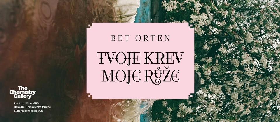 Komentovaná prohlídka výstavy Bet Orten: TVOJE KREV / MOJE RŮŽE