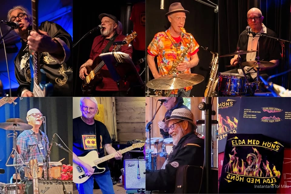 Elda med Höns- ett legendariskt proggband