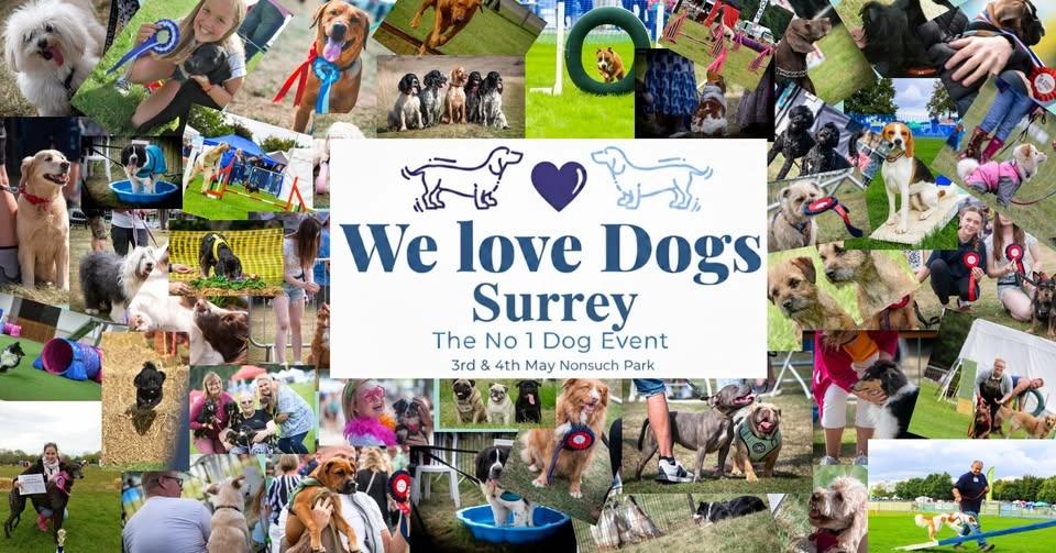 The Surrey We Love Dogs