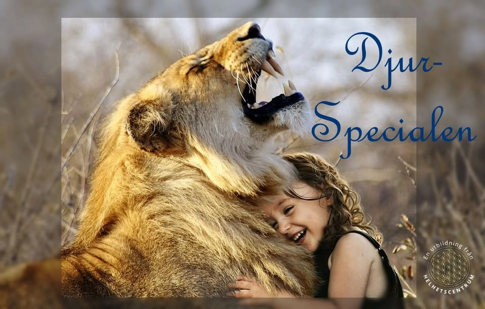 Djurspecialen