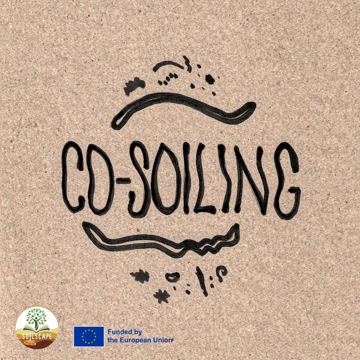 Co-soiling workshop
