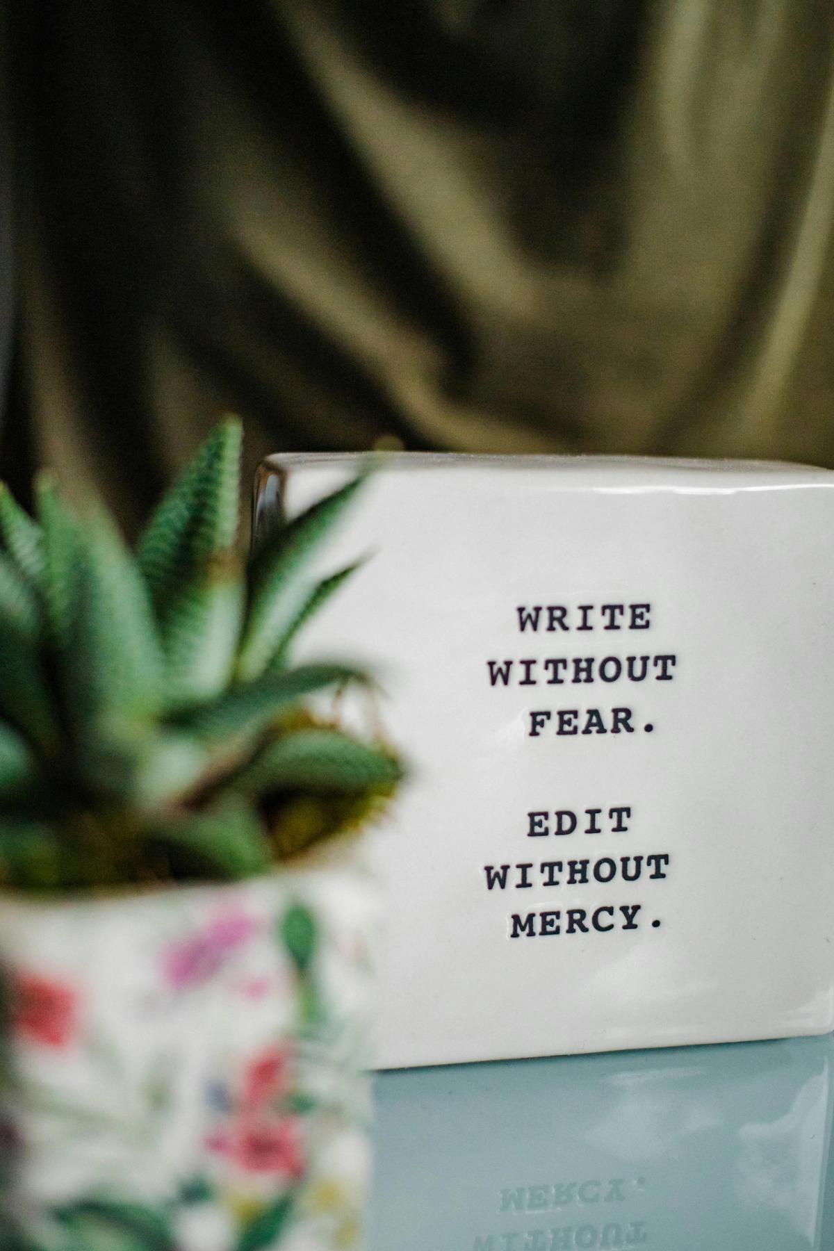 Writers Group Meeting