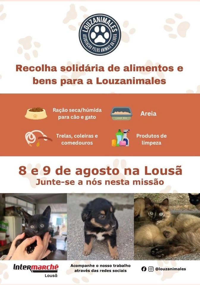 Recolha solidária no Intermarché da Lousã