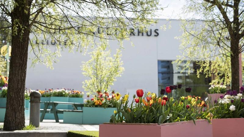 Läsutmaningar på Handens bibliotek