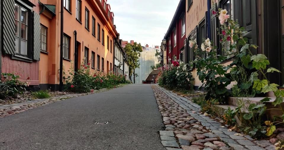 Matpromenad på Djurgården