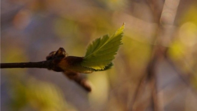 Photo walk - Explore new perspectives