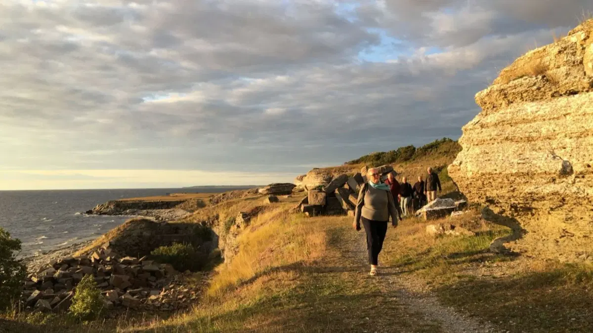 Stenkusten – en matvandring i skymningen