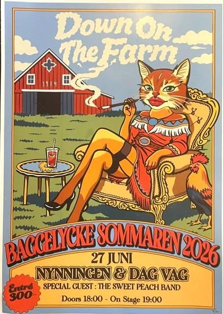 Baggelycke 27 Juni 2026. Nynningen & Dag Vag, + The sweet peach band.