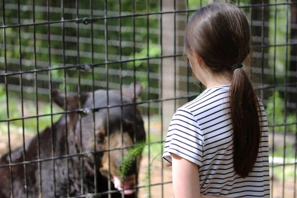 Daily Animal Feeding Experiences in July