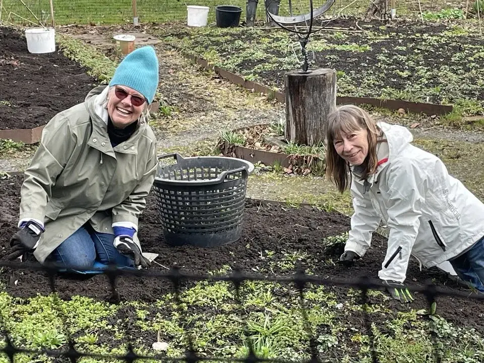 Nu öppnar vi trädgården