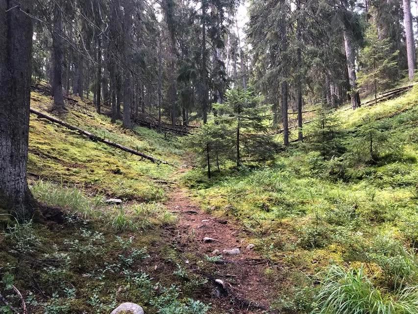 Pålamalm – häng med och leta spår från istiden