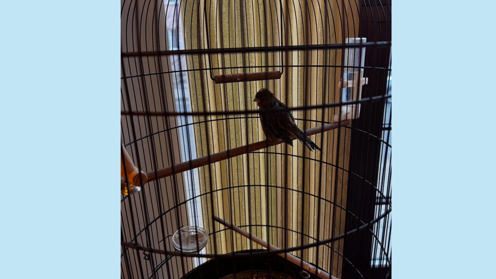 Positive mindset: Practical Psychology Club Stockholm