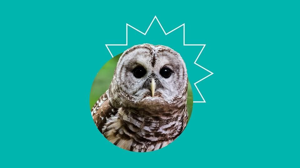 Wildlife Experience with Blandford Nature Center