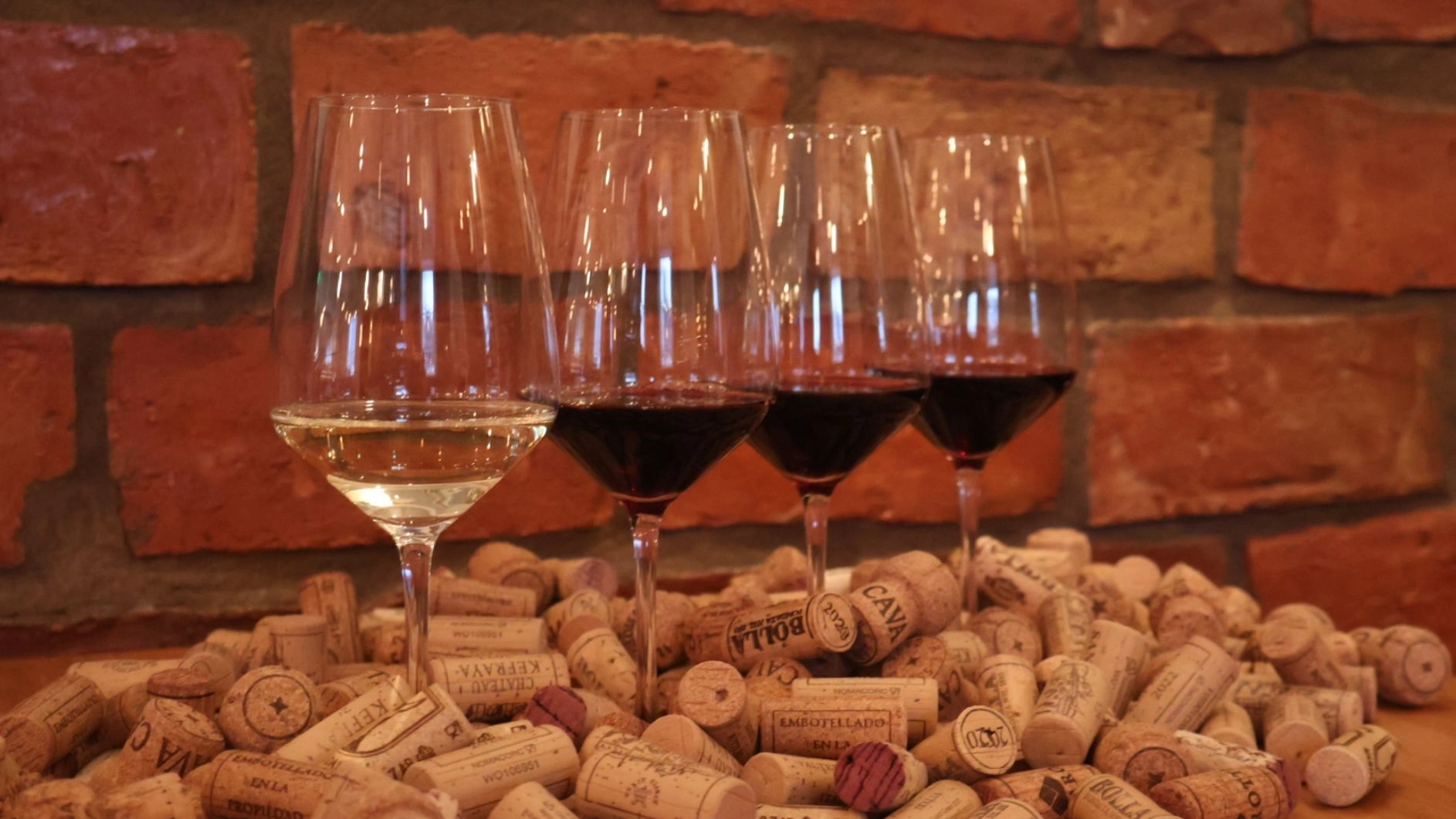 Vinprovning Spanska öarna & god mat