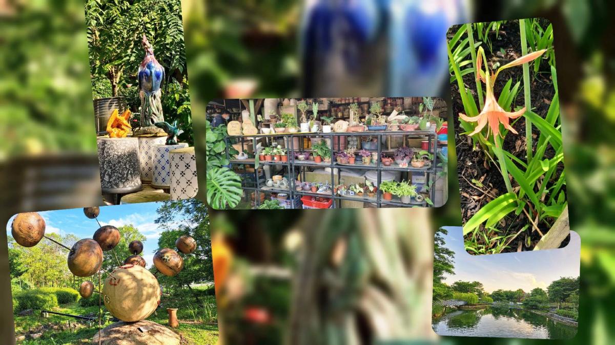 Encore Journey to the West: Pottery Kilns to Quiet Gardens 🌿🌸🦋🌳🏺