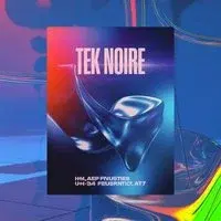 TEK NOIRE - New Ground