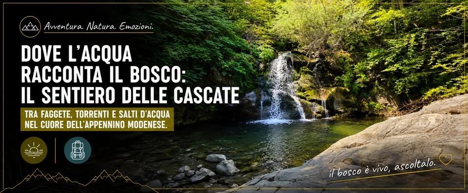 💦🌳 Dove l’acqua racconta il bosco: il Sentiero delle Cascate 🥾⛰️
