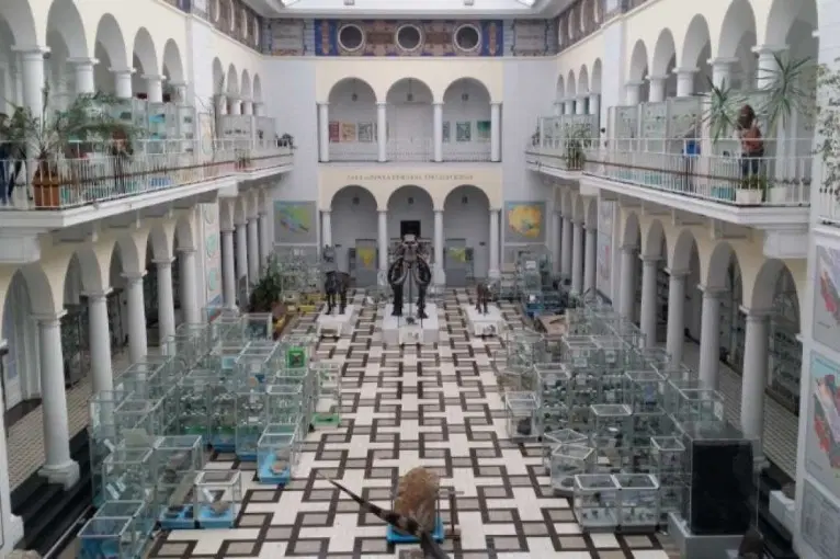 The Permanent Exhibition of The Muzeum Geologicznego Państwowego Instytutu Geologicznego