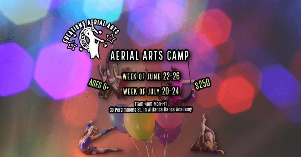Aerial Arts Camp