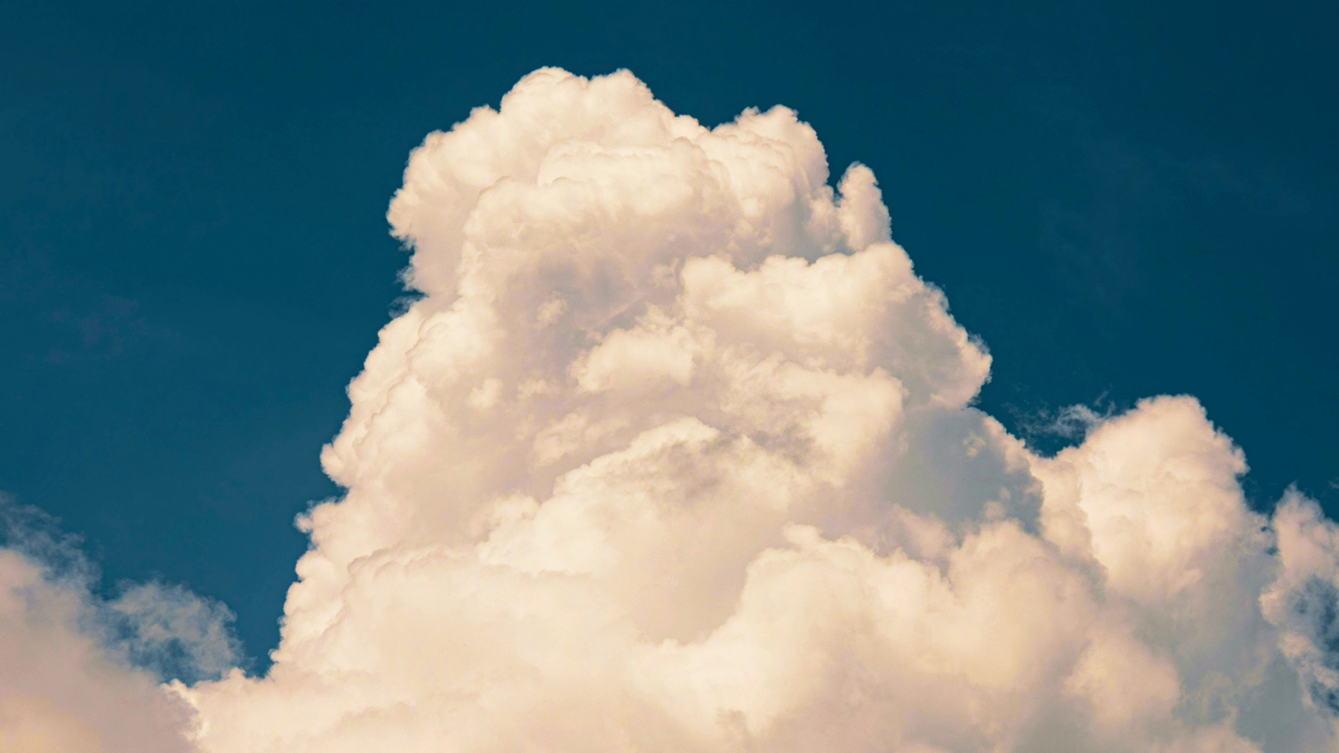 Det idéala – Vilka är framtidens förebilder?