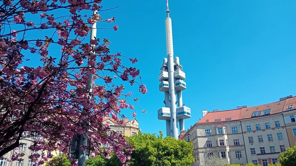 ŽIŽKOV guided tour