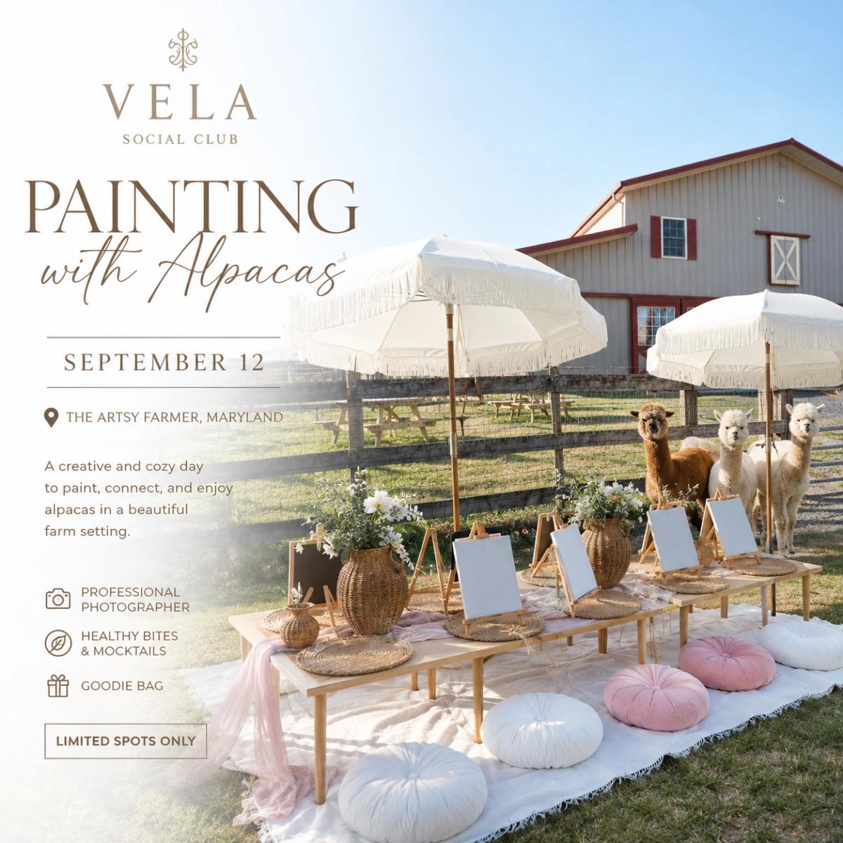 Painting with Alpacas | VELA Social Club
