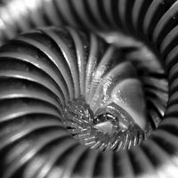 Patterns Photography Exhibition