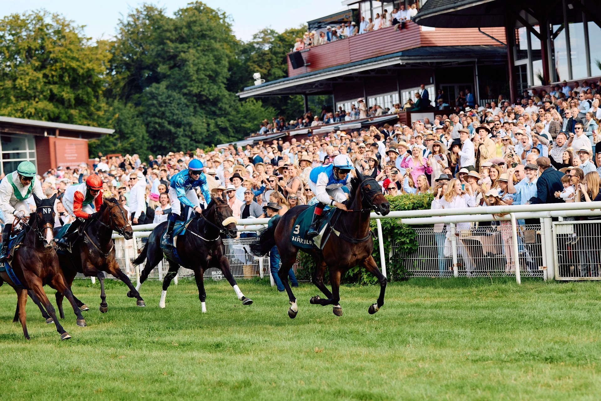 SPRING RACING