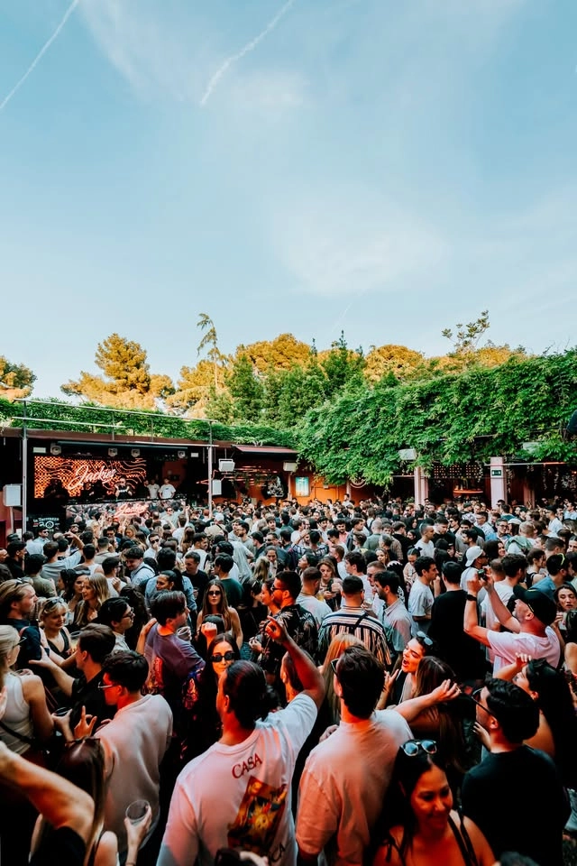 Jackies Open Air Daytime w/ VERY SPECIAL GUEST