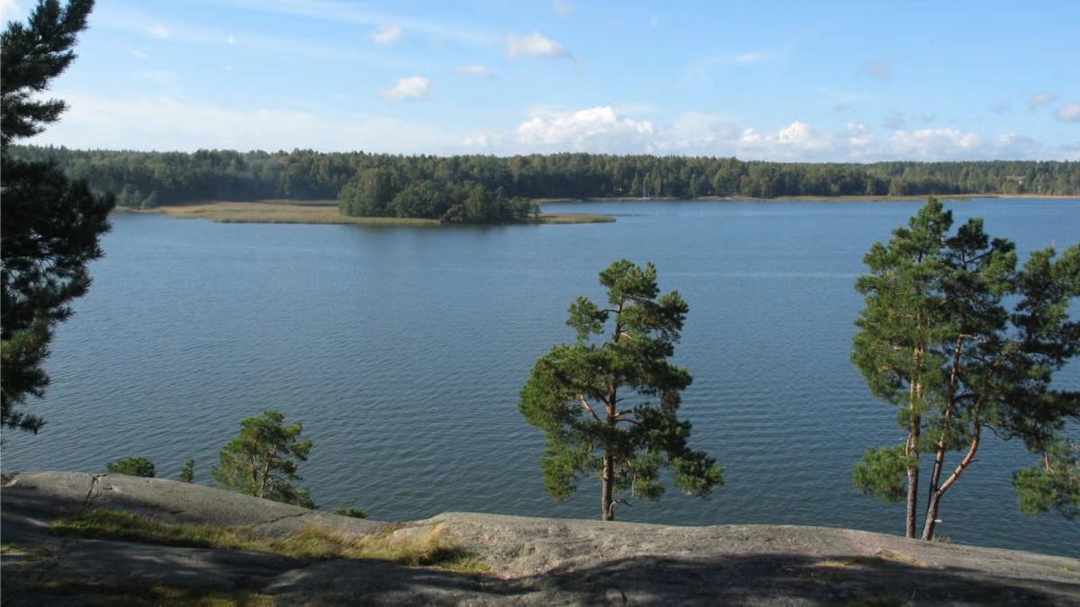 Social Walking Tour: The Grey Cliffs of Kivenlahti