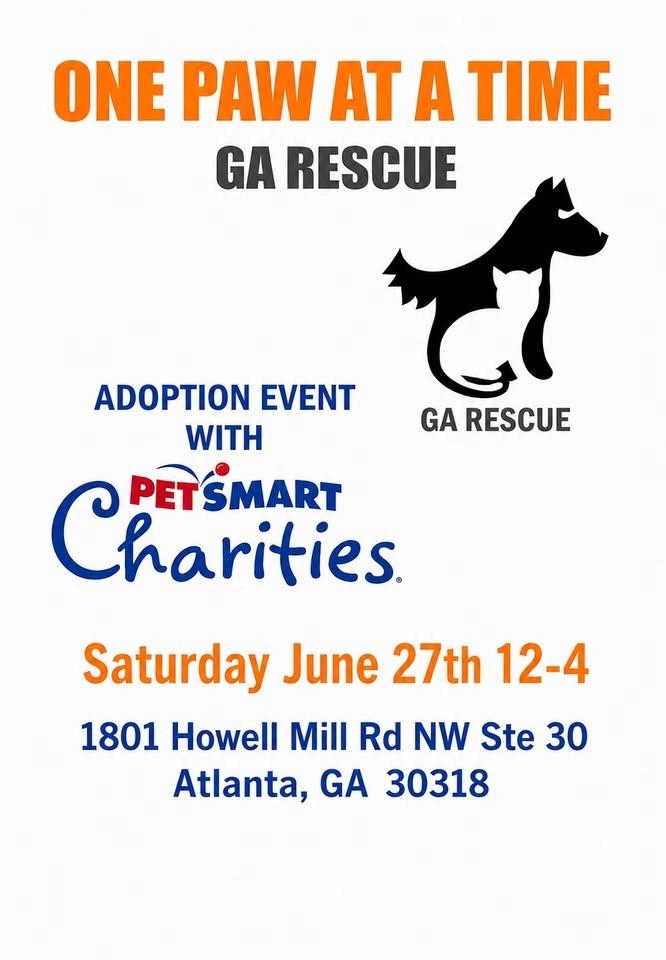 Pet Smart adoption event