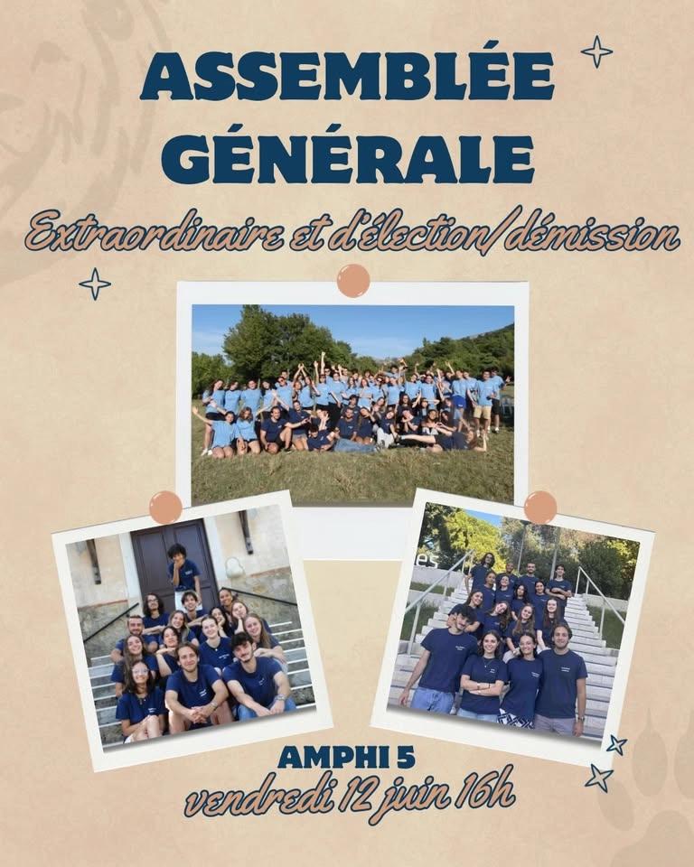 AGE/AG DE DÉMISSION ET D’ÉLECTION⭐️🦁
