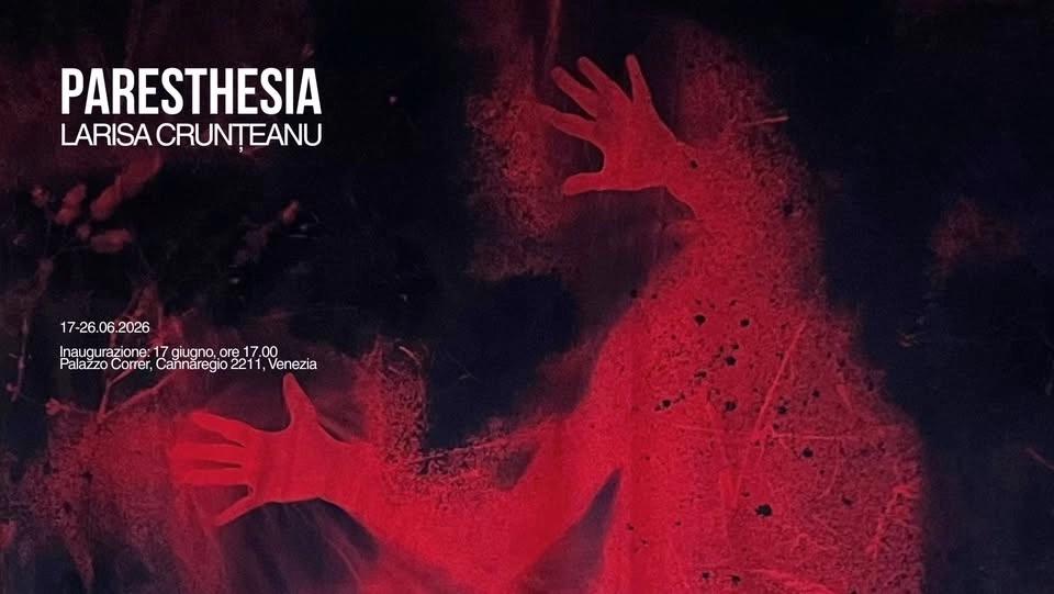 Paresthesia Series – Larisa Crunţeanu