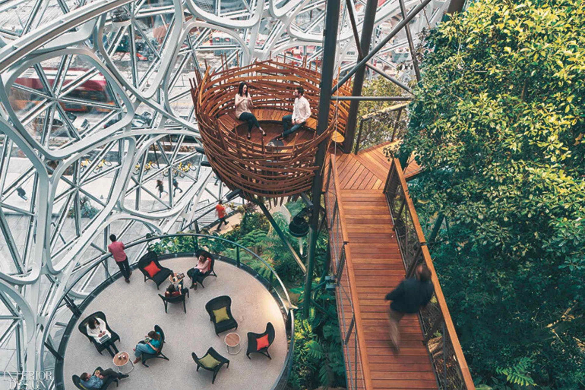 Nature-Inspired Cities: A Biomimicry Workshop for Designing the Future