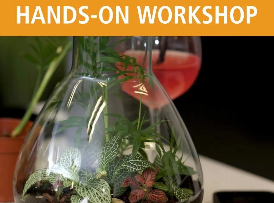 Toast to Terrariums