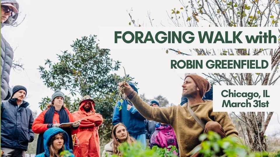 Foraging Walk with Robin Greenfield in Chicago