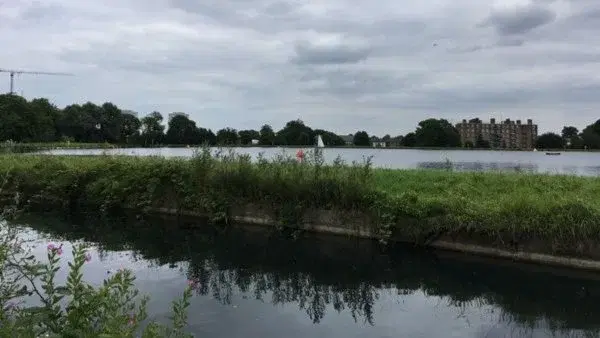 GREEN £5 WALK: 🌳🌲💦🌿 EVER CHANGING GREEN LANDSCAPE of NORTH LONDON.