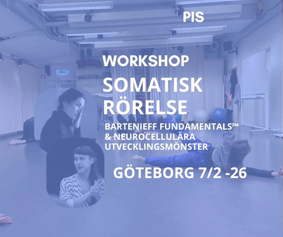 7/2 SOMATISK RÖRELSE med Bartenieff fundamentals™ och neurocellulära utvecklingsmönster