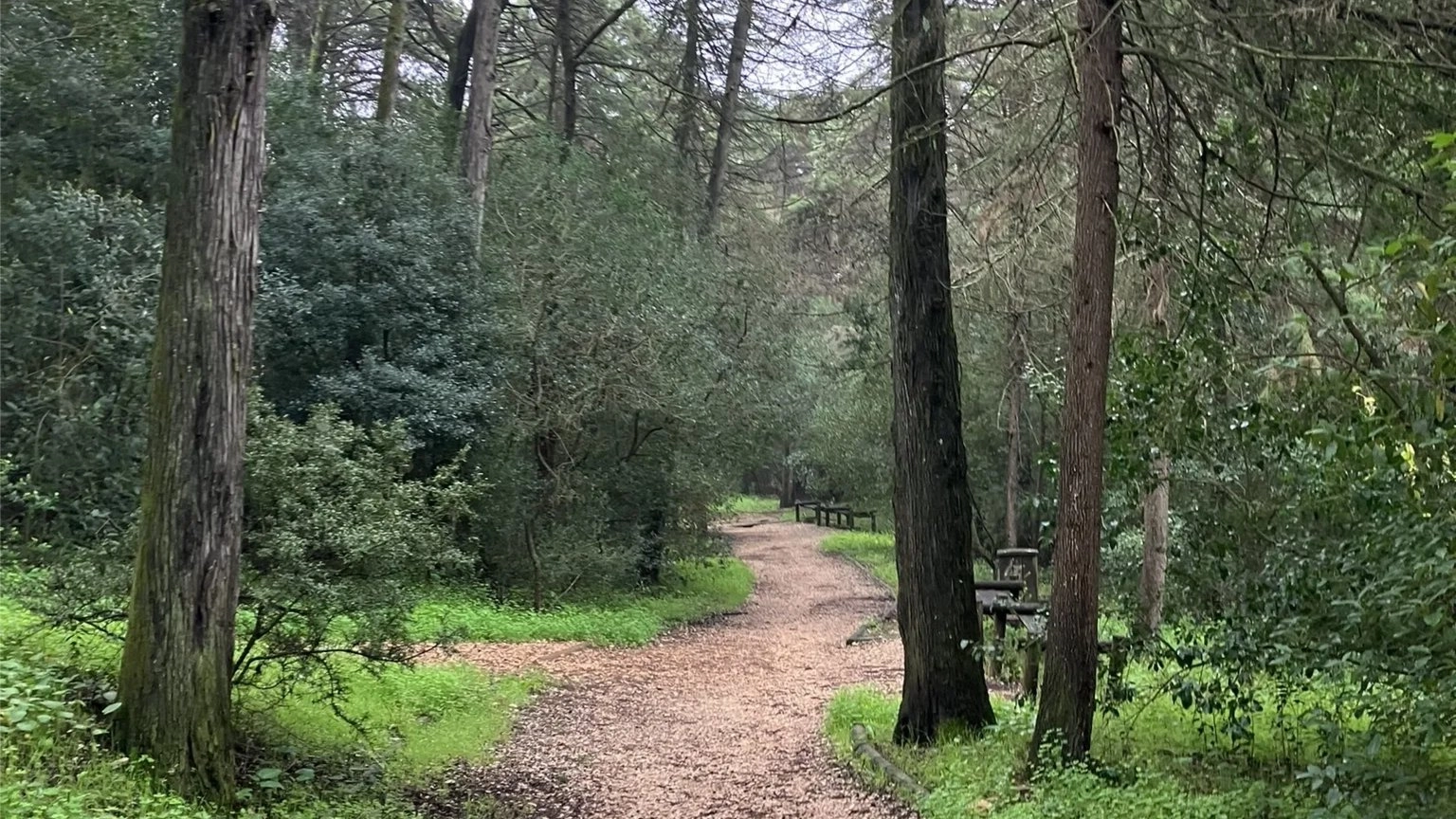 Morning walk #56: Calhau - Parque da Pedra - Encosta da Serafina